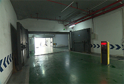 �µ������