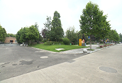 �����µ����