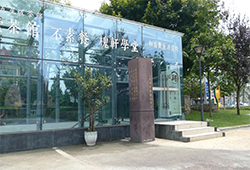 ������¥��